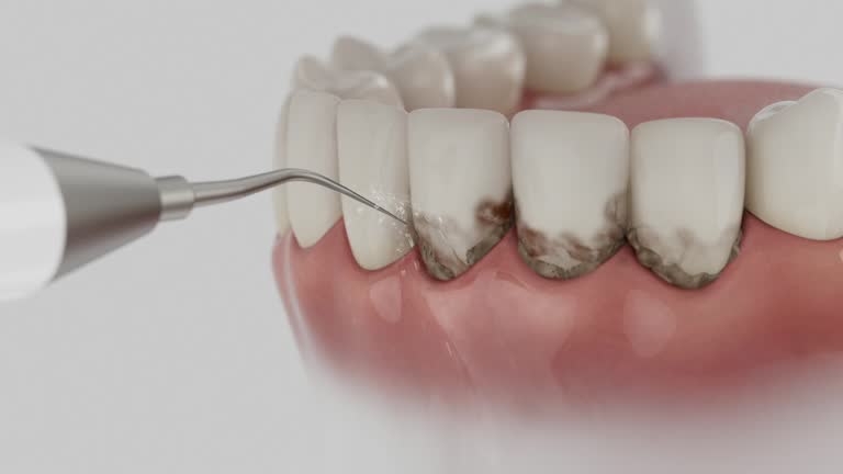 Reliable Dental contractor in Montgomery, IL by Dentist Open Now